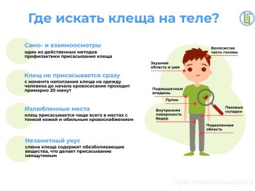 ОСТОРОЖНО! КЛЕЩИ!