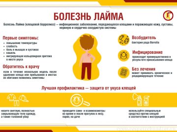 ОСТОРОЖНО! КЛЕЩИ!